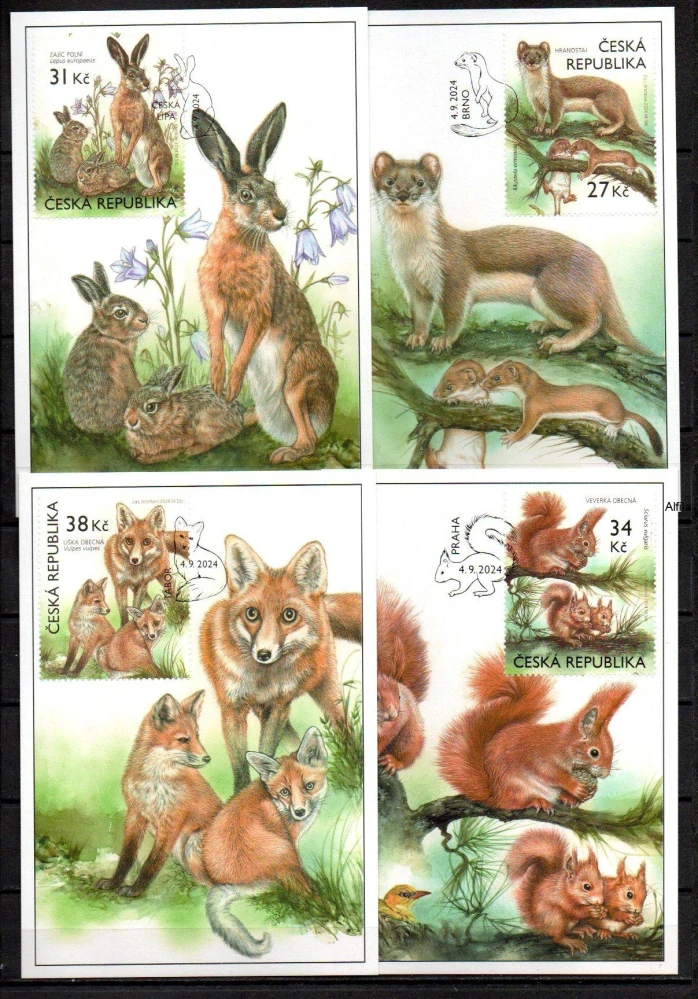 CARTES MAXIMUM CM 164 - 167