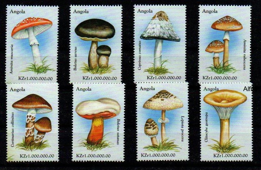 Angola známky, Houby