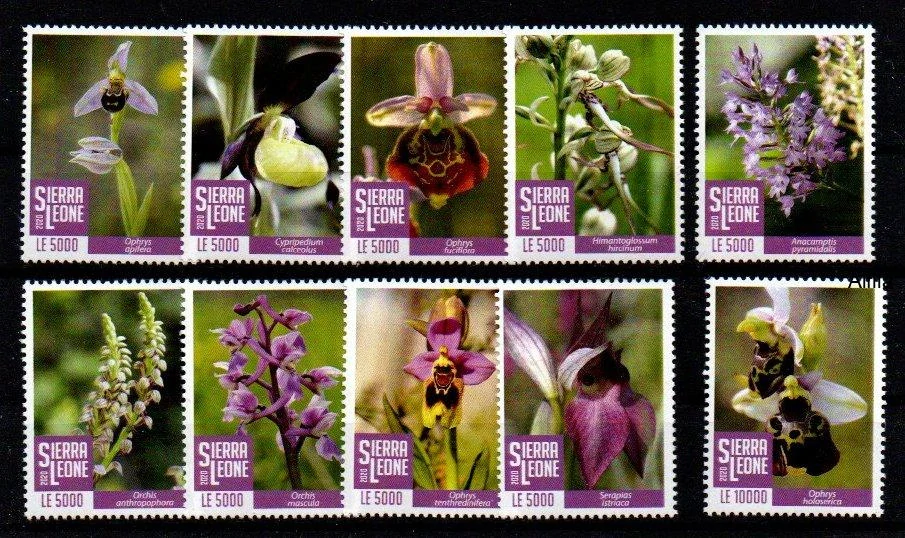 Sierra Leone známky, orchideje 2020