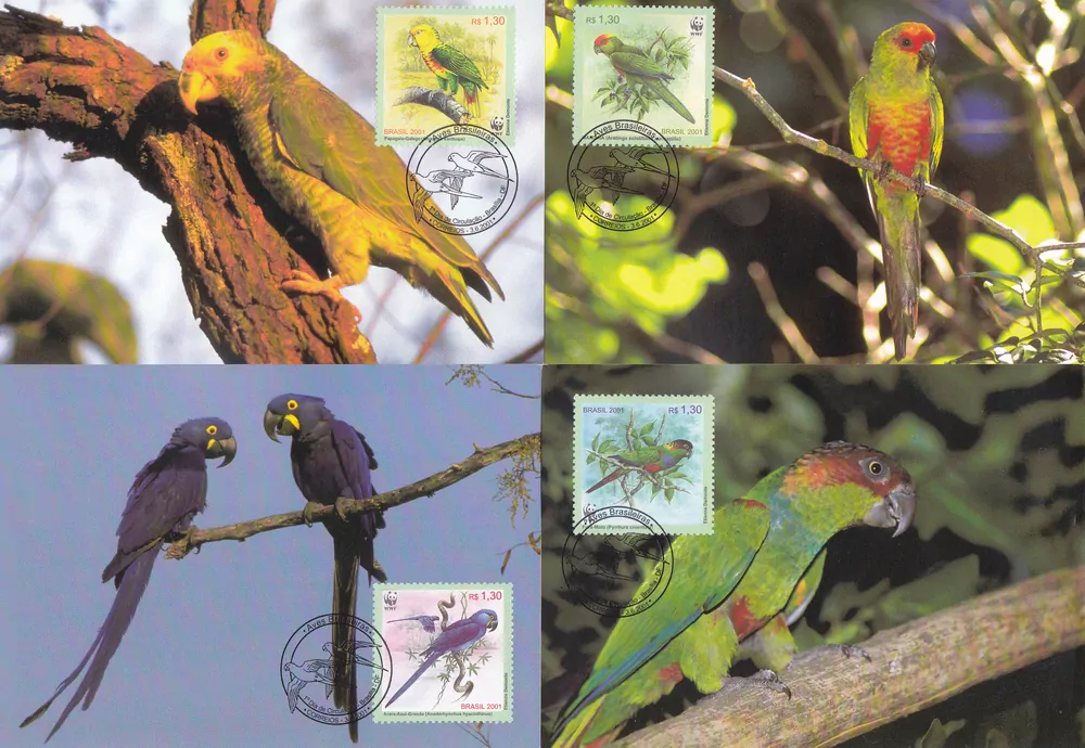 MAXIMUM CARD Brazílie - WWF