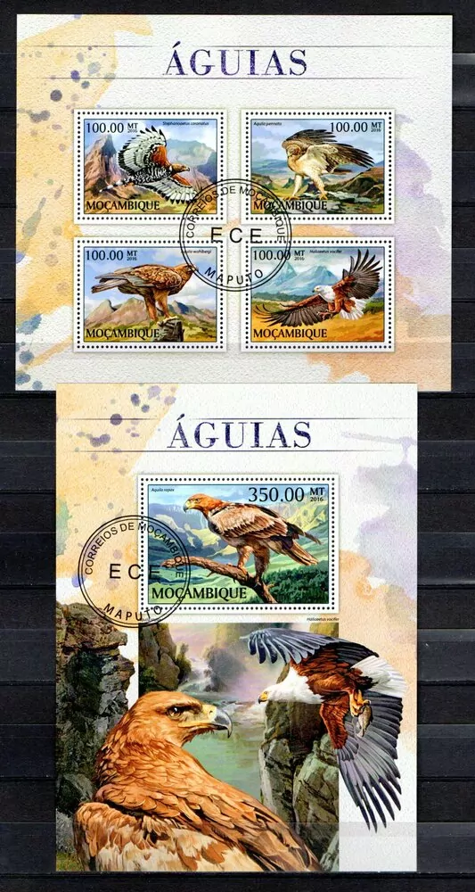 Aršík raž.