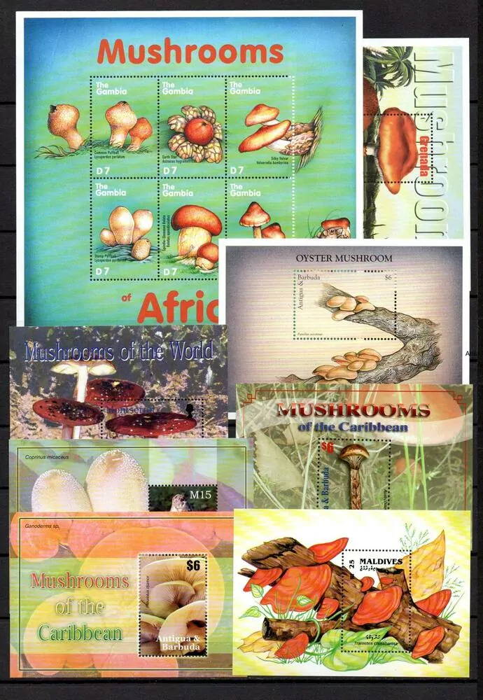 Sestava 17 ks aršíků Houby ** 