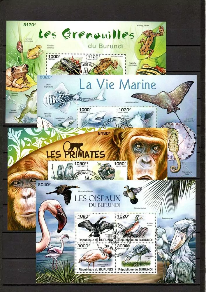 Sestava raž Aršíků, 20ks Fauna