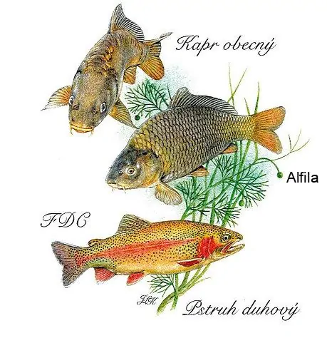 Česká rep. FDC 2024