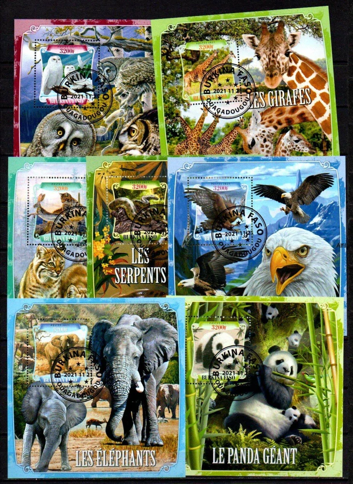 Sestava 23 ks raž Aršíků Burkina Faso