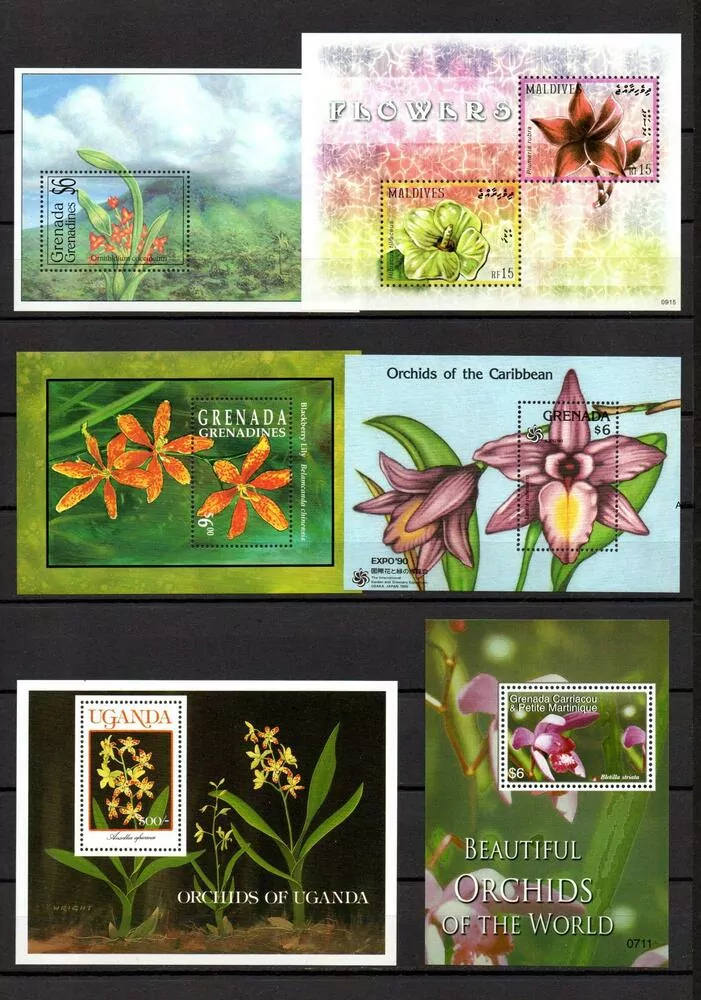 Sestava 18 ks aršíků Flóra ** 