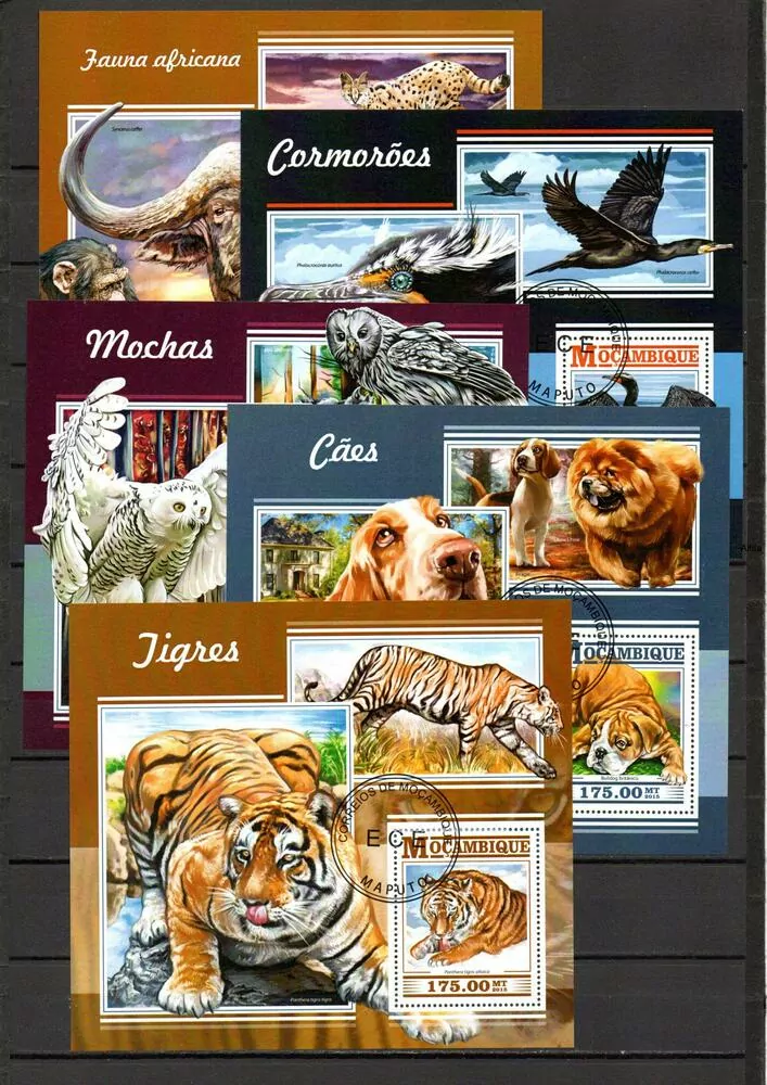 Sestava 10 ks raž Aršíků Fauna