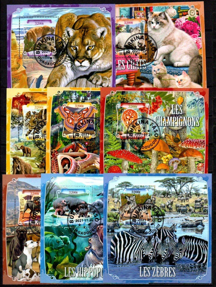 Sestava 23 ks raž Aršíků Burkina Faso