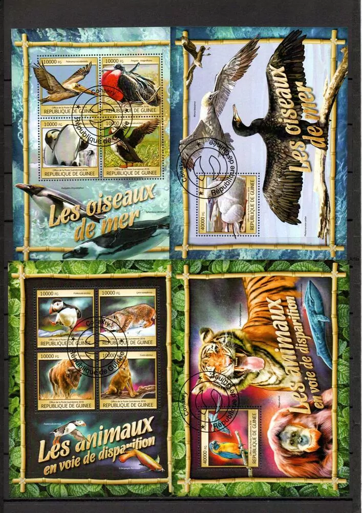 Sestava 24 ks raž Aršíků Fauna