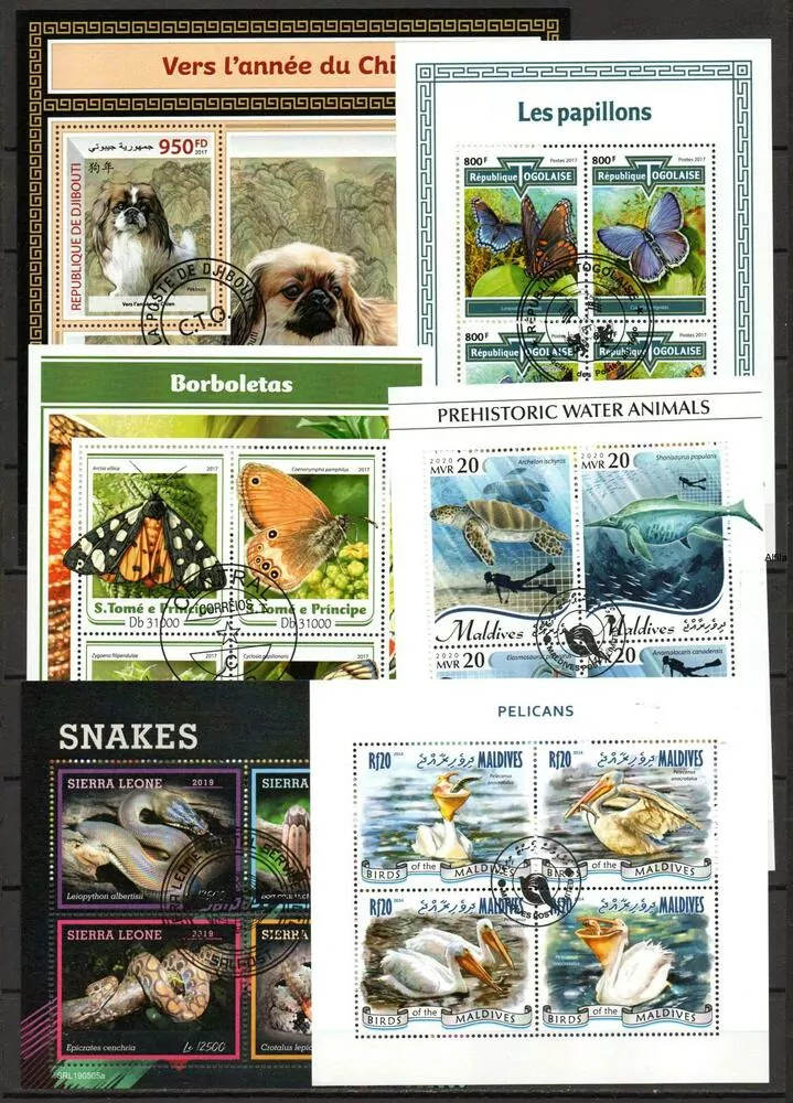 Sestava 30 ks raž Aršíků Fauna