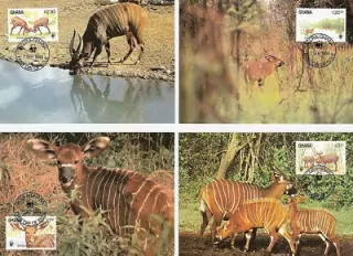 MAXIMUM CARD Ghana - WWF