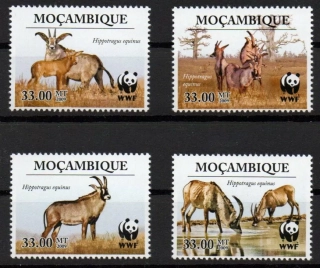 Mosambik známky - WWF