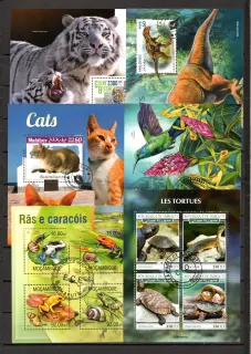 Sestava 24 ks raž Aršíků Fauna