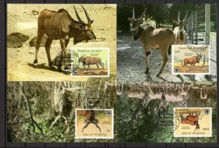 MAXIMUM CARD Mali - WWF