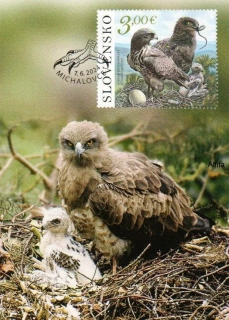 CARTES MAXIMUM CM 131, Ochrana prírody: Vihorlatské vrchy – Hadiar krátkoprstý