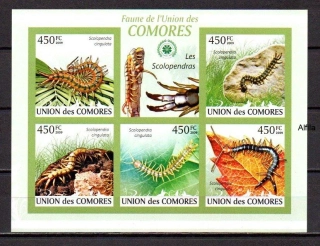 Comores známky, stonožky