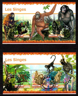 Aršík raž. Burkina Faso, 2023, Fauna