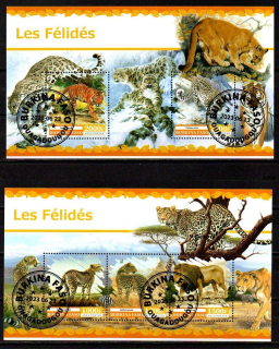 Aršík raž. Burkina Faso, 2023, Fauna