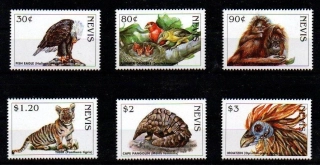 Nevis známky, tygr, orel, tangara