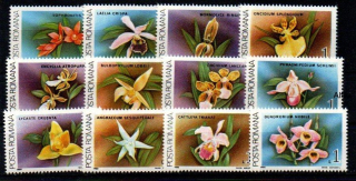 Rumunsko známky 1988 ** orchideje