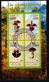 Aršík raž.