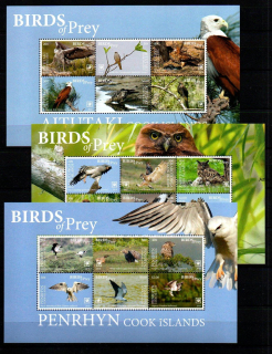 Sestava Ptáci, Penrhyn,Aitutaki, Rarotonga, exotické archy **