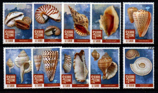  Sierra Leone známky, měkkýši 2020