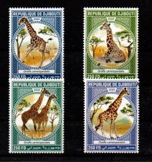 Djibouti známky, žirafi 2020