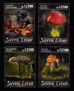  Sierra Leone známky, 2020
