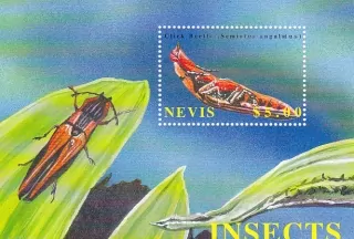 Nevis známky