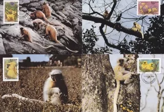 MAXIMUM CARD Bhutan - WWF