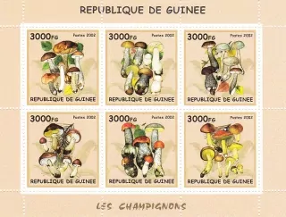 Rep.de Guinee známky