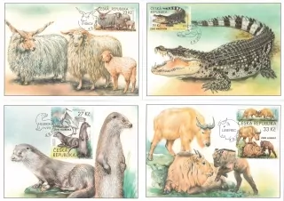 CARTES MAXIMUM CM 139 - 142