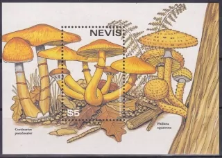 Nevis známky